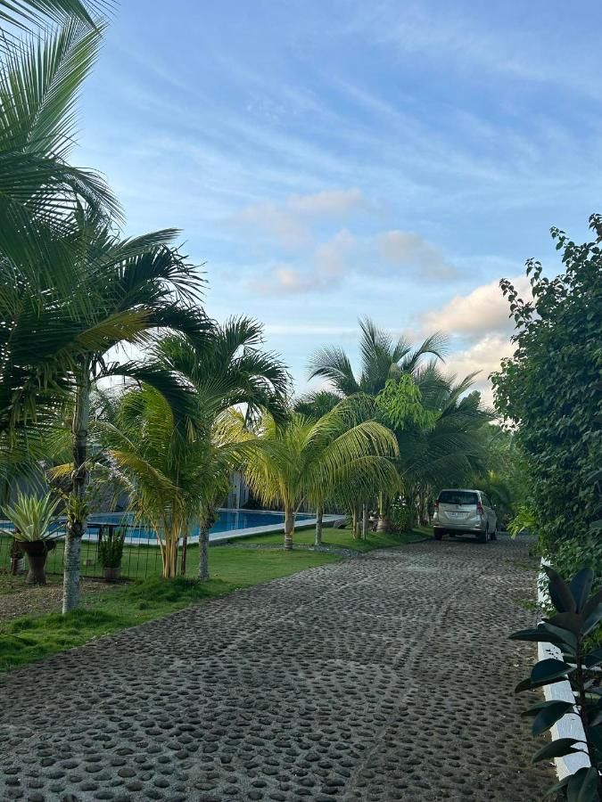 Hill View Home Stay Panglao Exterior photo